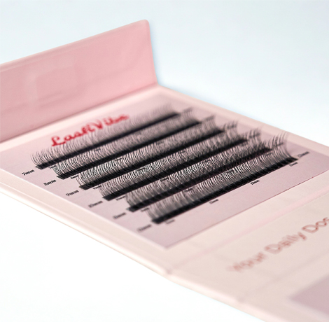 lashvibe