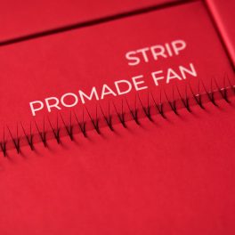 LashVibe ProMade 2D Strip